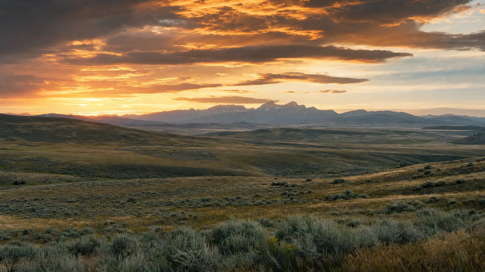 Fly Fishing Guides in Dubois, Wyoming — representative photo of the Dubois area